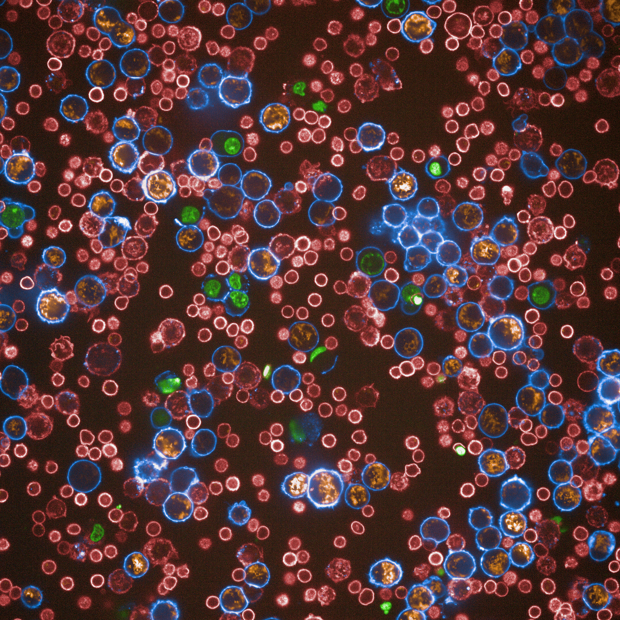 biosensor-image
